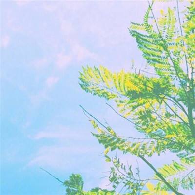 新蓝月手游7a互娱下载